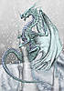 Ice_Dragon_by_Tarjcia_2_.jpg