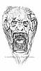 Manticore_Face.jpg