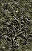 stone-background-tree.jpg