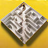 Rat_in_Maze_Destruction.jpg