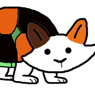 TurtleCat