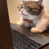 Walepages