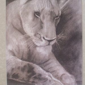 Lioness Pencil