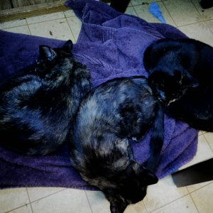 Send Full Group 1.jpg