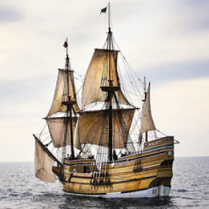 Mayflower 300.png