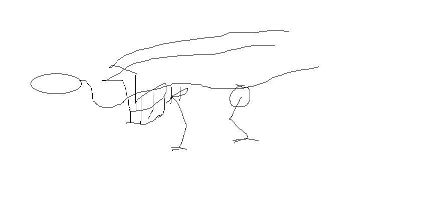 dragonskelly