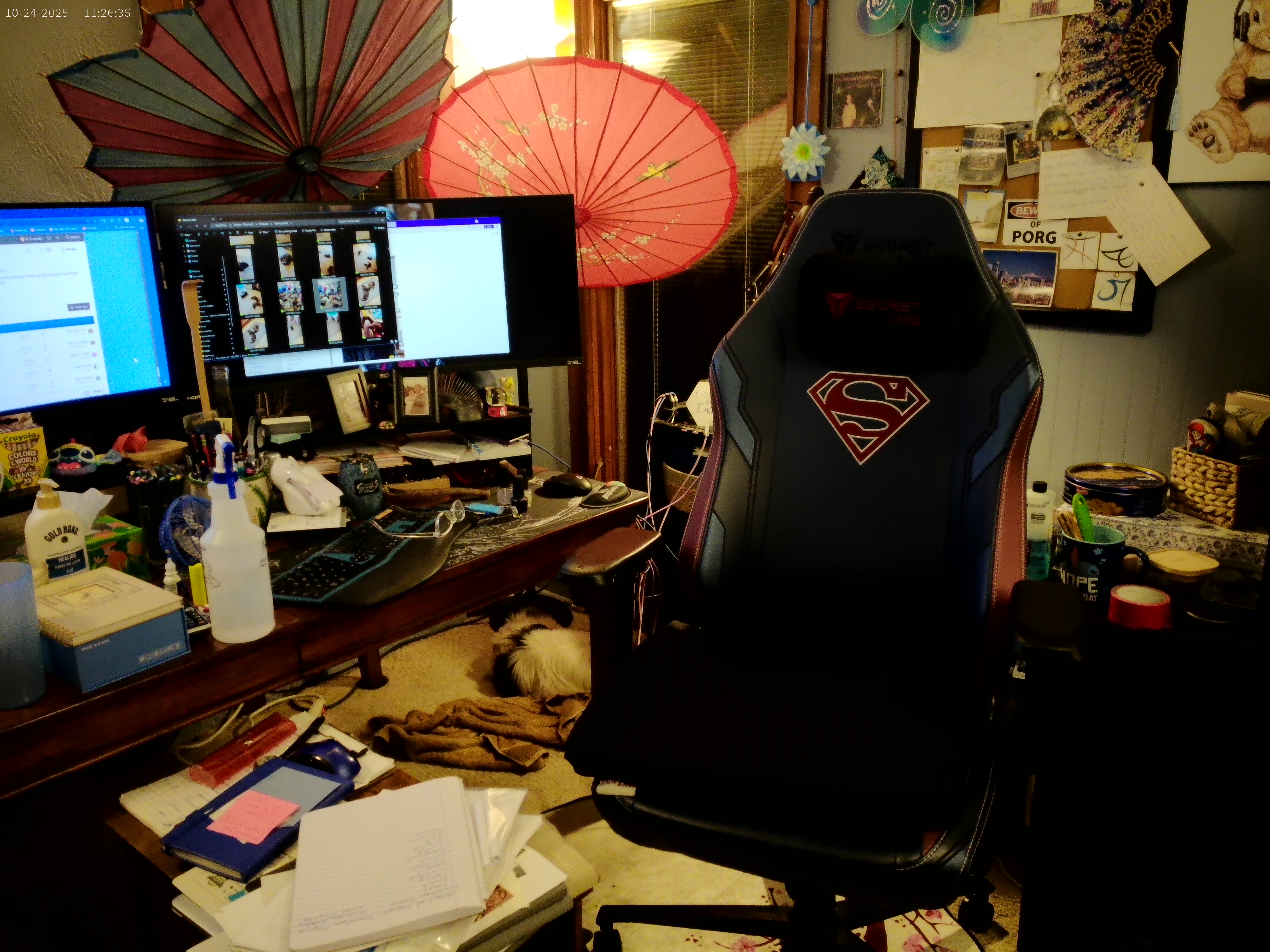 IMG-1141-A - Copy.jpg