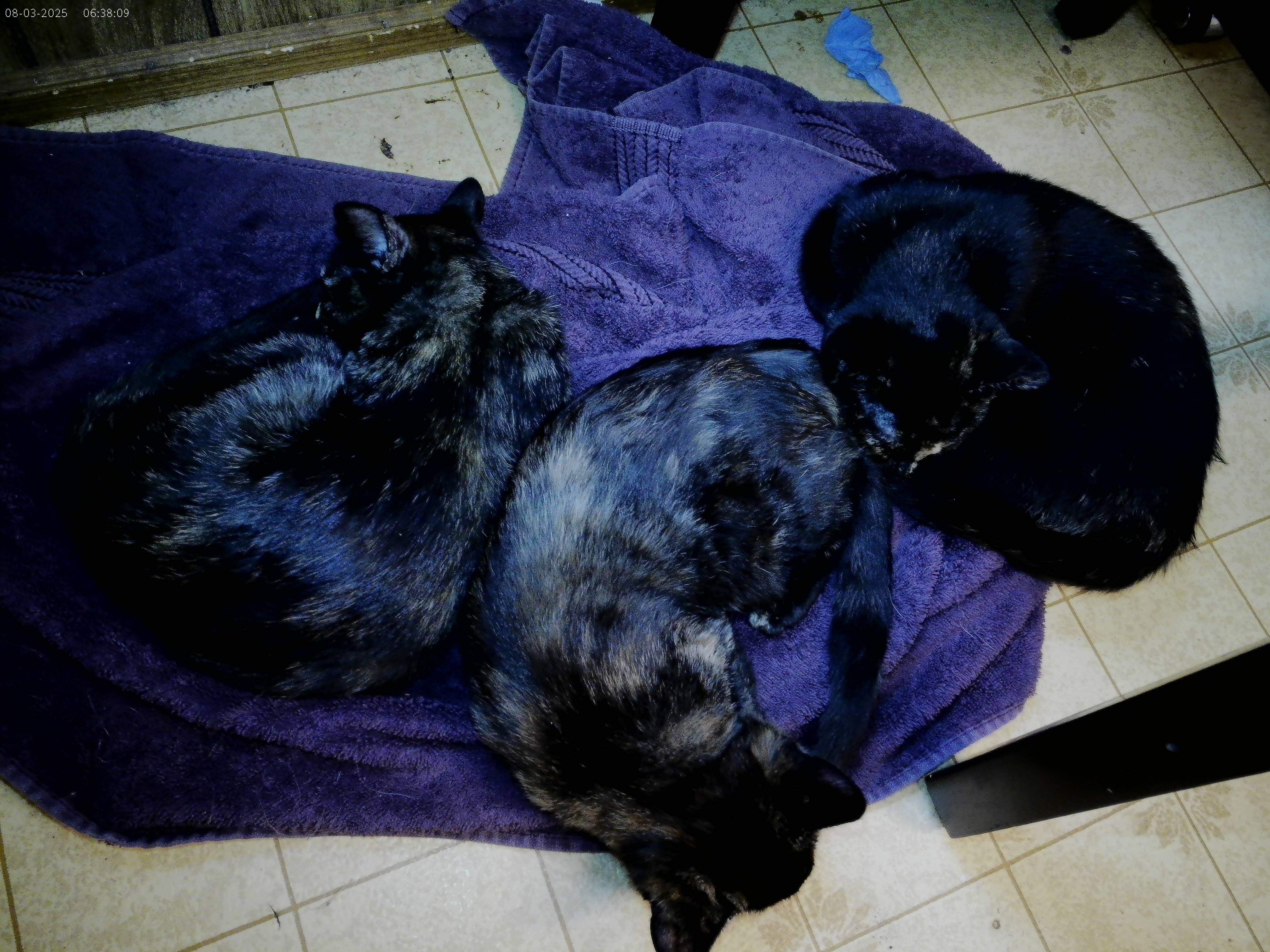 Send Full Group 1.jpg