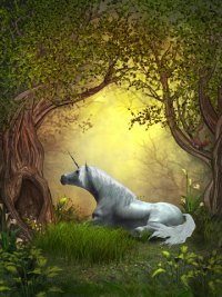 Unicorn in Forest