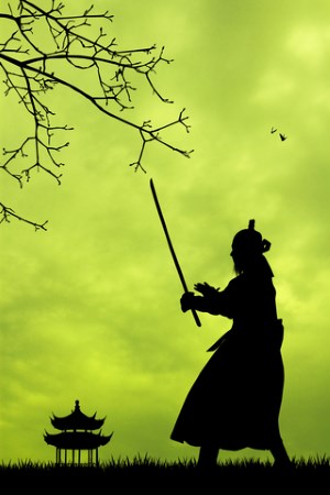 Channel Your Inner Samurai – How Being an Author is Like Performing