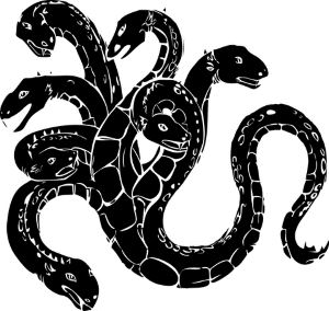 hydra